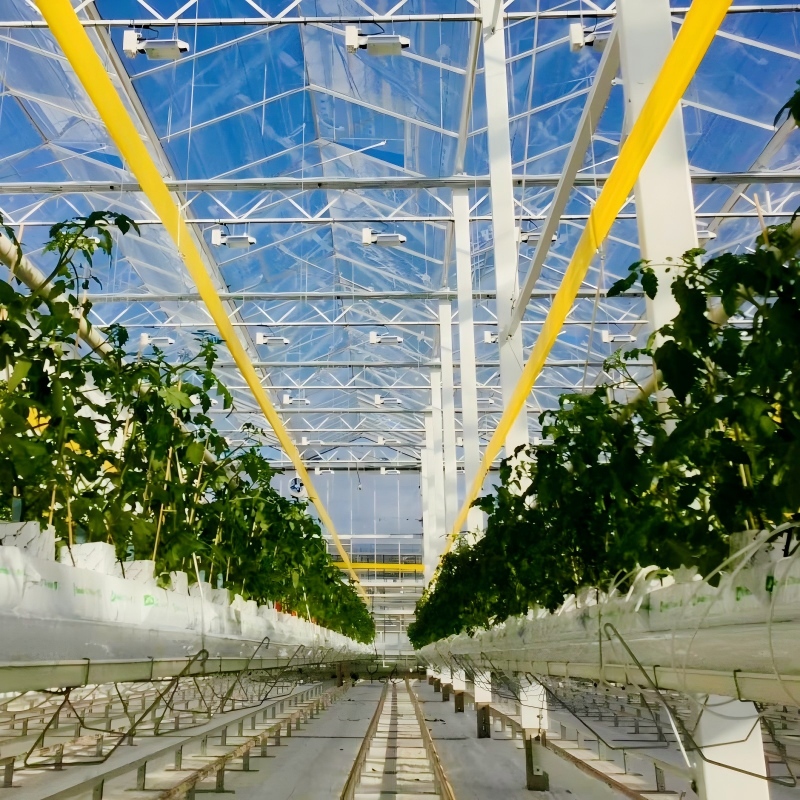 Controlled Environment Research Greenhouse for Sale